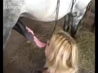 Horse blowjob with a zoophilia whore